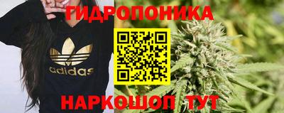 mdpv Первоуральск