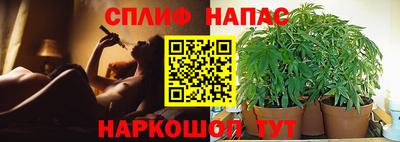 ALPHA PVP Партизанск
