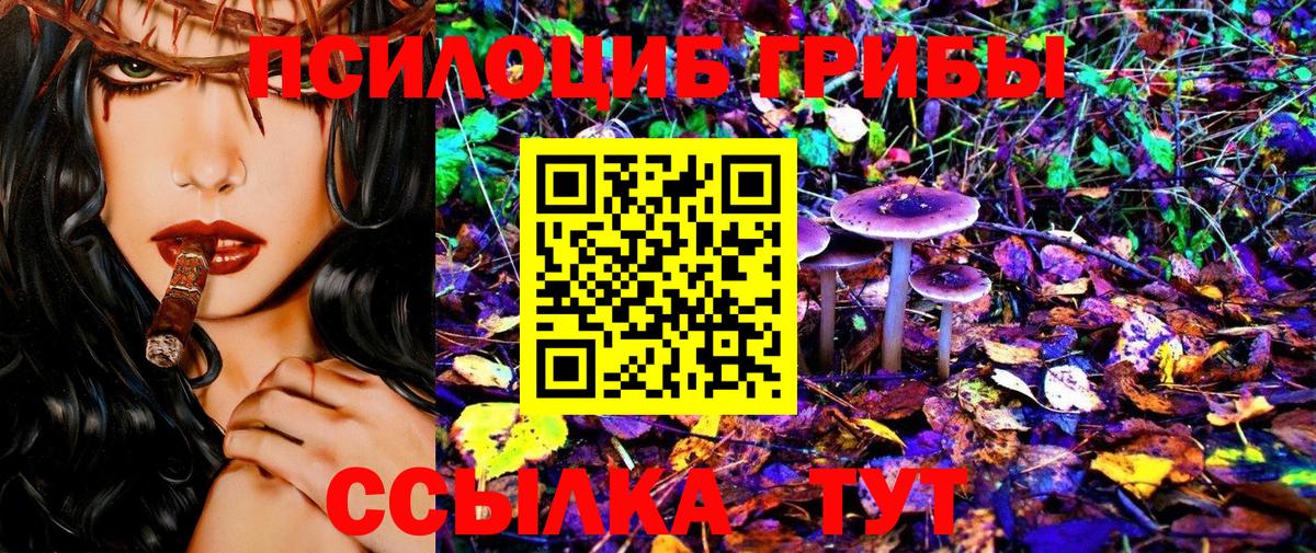 Галлюциногенные грибы GOLDEN TEACHER Сатка