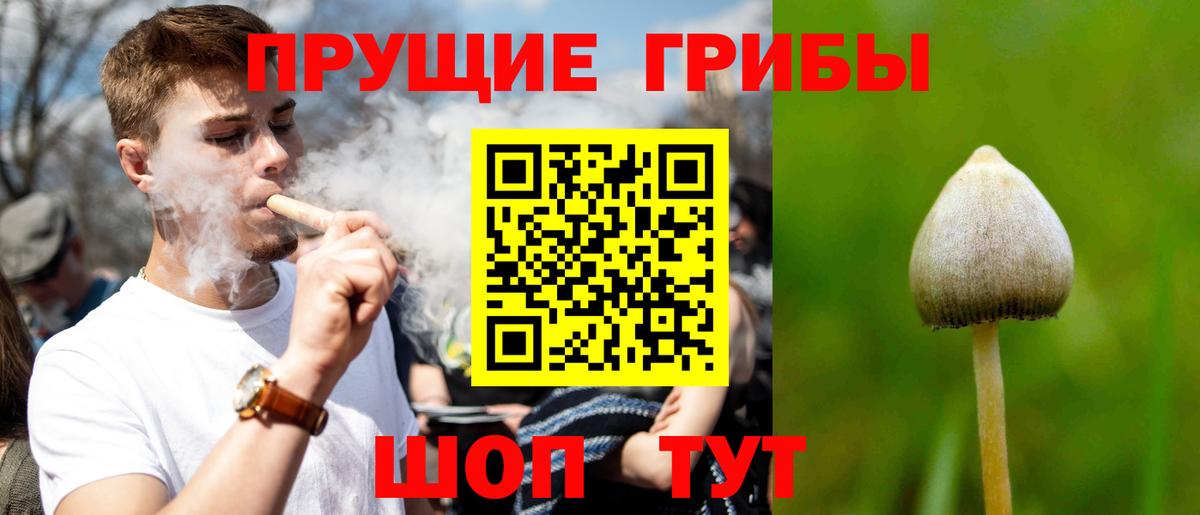 наркота  Галлюциногенные грибы мицелий  Вход с VPN  Сатка 